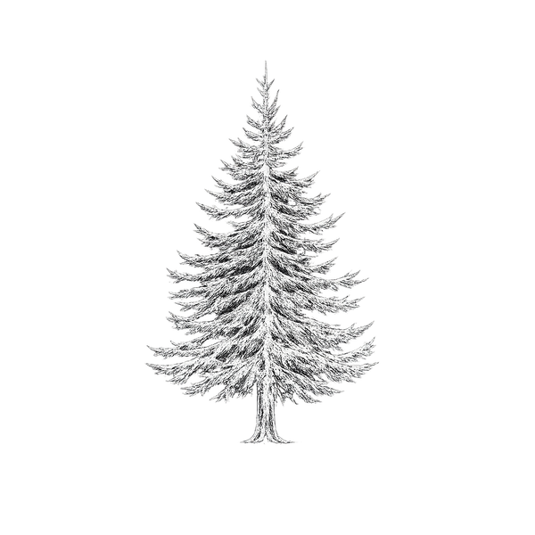 VintageForest
